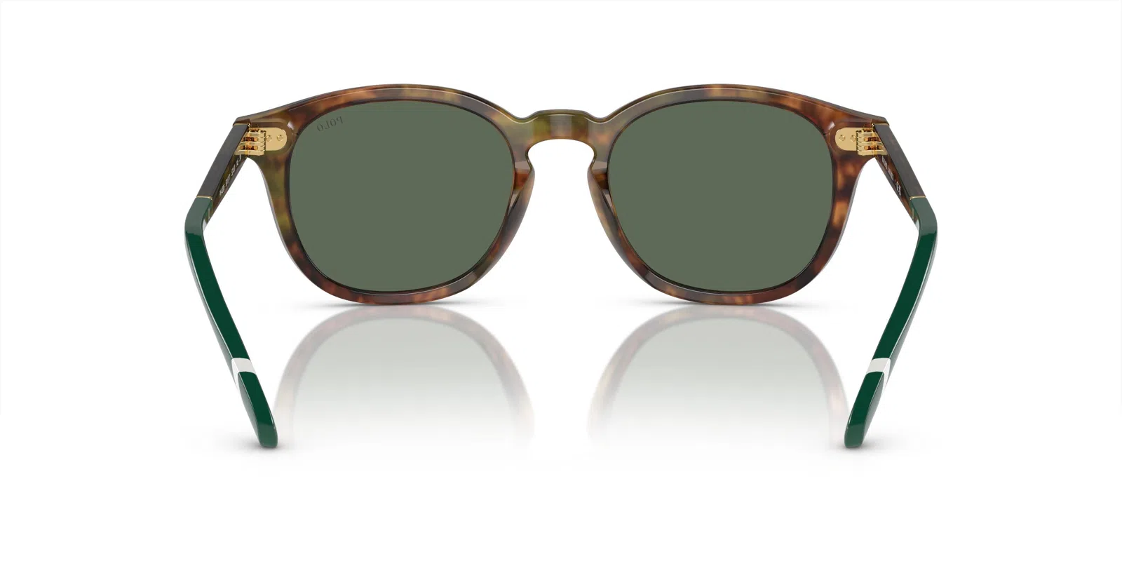 Polo 4206 Sunglasses - view 11